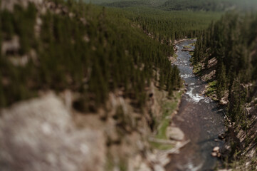 Below Gibbon Falls in Yellowstone National Park