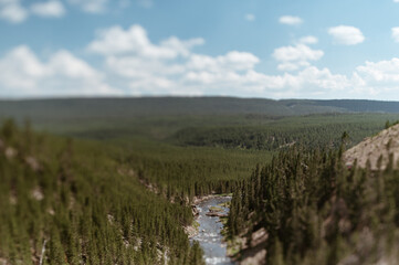 Below Gibbon Falls in Yellowstone National Park