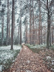 Obraz premium krajobraz