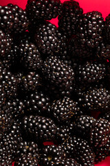 Macro close up of blackberries. 