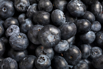 Macro close up of unwashed blueberries.