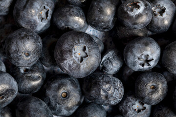 Macro close up of unwashed blueberries.