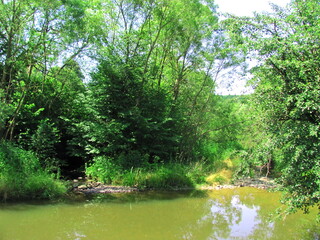 A lake on a river in the middle of a forest