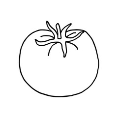 tomato in doodle style