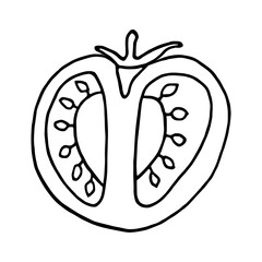 tomato in doodle style