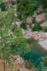 valley of the mountain river Moraca in Montenegro