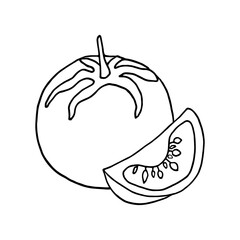 tomato doodle style