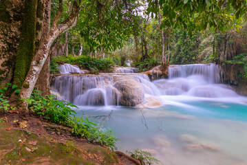 Obraz premium Magical turquoise blue colours of Kuang Si waterfalls Luang Prabang Laos. these waterfalls in the Mountains of Luang Prabang Laos flow all year round in the natural national park rainforest 
