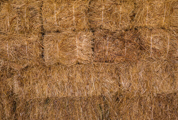 paglia e fieno