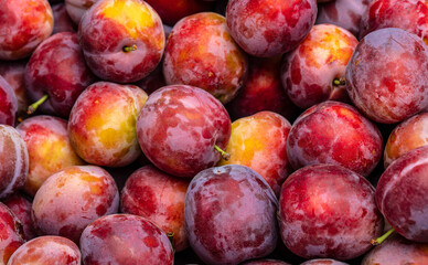 Plums background. Fresh plum. Harvest. Autumn. top view