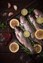 Obraz na płótnie Canvas Raw rainbow trout, with lemon and herbs, on a wooden table, no people,