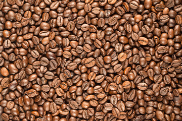 Coffee in grains, morning aroma of fresh coffee