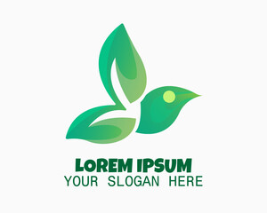 leaf bird logo design template. leaf and bird illustration vector