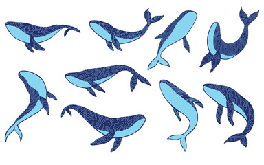 Collection of blue silhouette of a whales with an abstract decorative ornament. Vector illustration isolated on white background