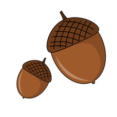 Autumn oak acorn isolated on white background cartoon vector illustration © Kateryna Luhova