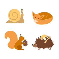 Little forest animals, snail, sleeping fox, squirrel with cone and hedgehog with mushrooms, autumn season, illustration isolated on white background