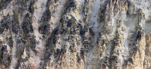 Rocky Canyon in American Landscape. Grand Canyon of The Yellowstone. Yellowstone National Park. United States. Nature Background.