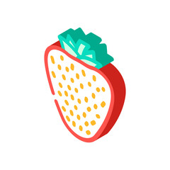 strawberry one whole isometric icon vector. strawberry one whole sign. isolated symbol illustration