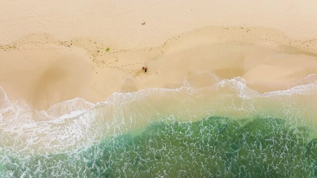 Aerial Overhead Shot Alone Woman Walking With Dog By Empty Sandy Beach. Top Down View On Pure Beach With Teal Green Clear Sea Waves Running To Shore. Summer Background Scenic Hawaii Nature 4K USA Trip