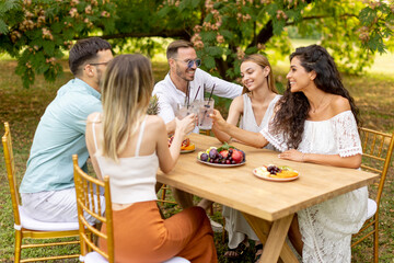 Group of happy young people cheering with fresh lemonade and eating fruits in the garden