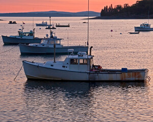 fishing boats in the harbor at sunrise