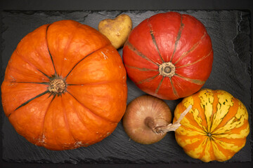 Kürbisse Gemüse auf Schieferplatte