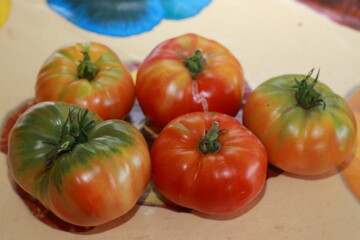 Tomates rojos