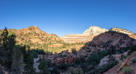 Fototapeta na wymiar American Mountain Landscape. Sunny Morning Sky. Zion National Park, Utah, United States of America. Nature Background Panorama