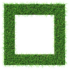 Grass frame - design element isolated - 3d rendering