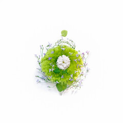 The white aster flower is in a green fluffy nest surrounded by small purple flowers. The floral arrangement is on a white background.
