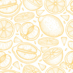 Lemon fruit pattern outline hand drawn vector. Summer citrus