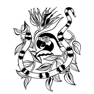 Exotic ornament with a parrot and a snake and a flower of paradise. Tropical vector black and white pattern isolated on white background. Can be used as tattoo design, poster print, t-shirt print.