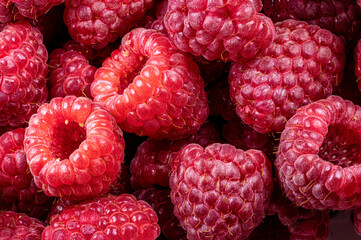 Close-up raspberries background pattern. Heap of ripe raspberry.