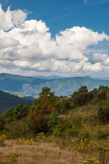 Black Balsam and Graveyard Fields in Pisgah National Forest on the Blue Ridge Parkway