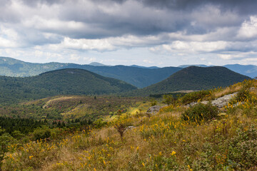 Fototapeta premium Black Balsam and Graveyard Fields in Pisgah National Forest on the Blue Ridge Parkway