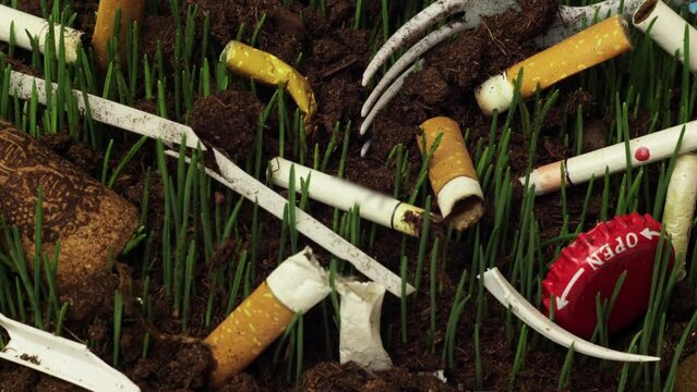 Grass is growing from under polluted soil filmed in macro timelapse. Environmental pollution by non-recyclable materials. Live plants are making their way through a pile of garbage. Careless attitude.