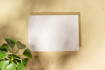 Mockup with blank horizontal sheets of paper with copy space. Hard sunlight and shadows on a white background with palm leaves. Template for business layout. Top view, flat lay