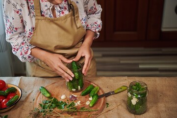 Close up of the process of canning gherkins. Beautiful young housewife, multiethnic woman preserves organic cucumbers with umbrella dill, fresh garlic and culinary herbs. Homemade fermented product