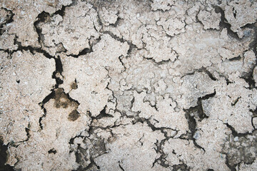 Dried desert land. Cracks in the ground. Dehydrated soil.