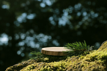 A round carved slab of wood lies on the branches of spruce, pine, a stand for an object, a podium...