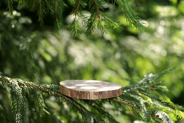 A round carved slab of wood lies on the branches of spruce, pine, a stand for an object, a podium...