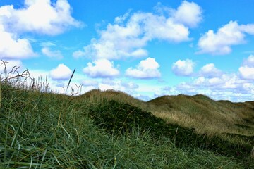 Dänemark an der Nordsee mit Strand, Dünen und Landschaft
