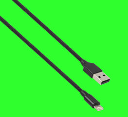 cable with USB connector and Lightning USB, on a green background