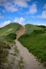 Dänemark an der Nordsee mit Strand, Dünen und Landschaft