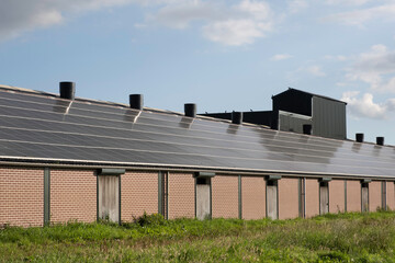 Solar panels mounted on the roof of a stable at a farm in Lemmer, Friesland, Netherlands with sun and blue cloudy sky. Sustainable energy, electric power generation