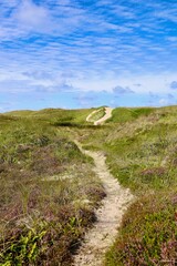 Dänemark an der Nordsee mit Strand, Dünen und Landschaft