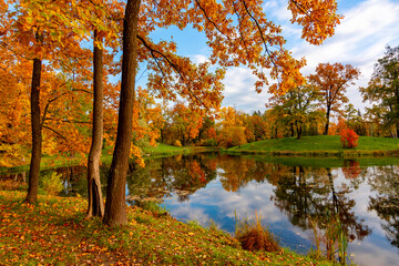 Obraz na płótnie Canvas Alexander park in autumn, Pushkin (Tsarskoe Selo), Saint Petersburg, Russia