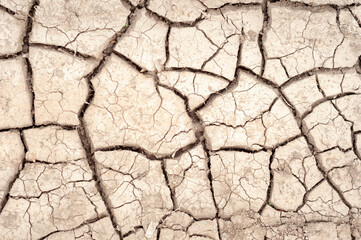 background, texture cracked earth, top view.