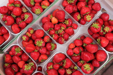 fresh red strawberries for sale in bowls