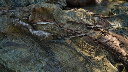 the small rock that comes out of the sea.